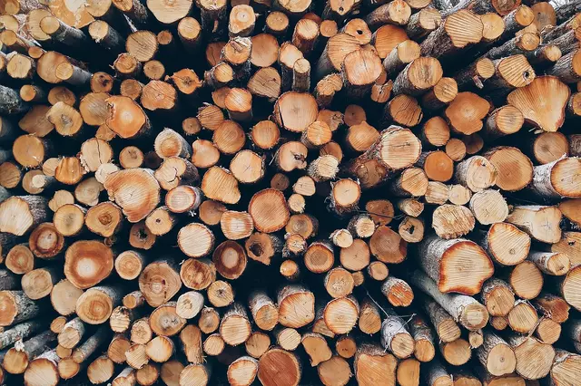 Brennholzverkauf Bempflingen